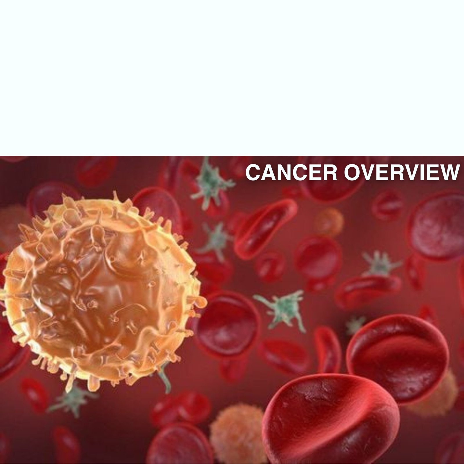 CANCER OVERVIEW