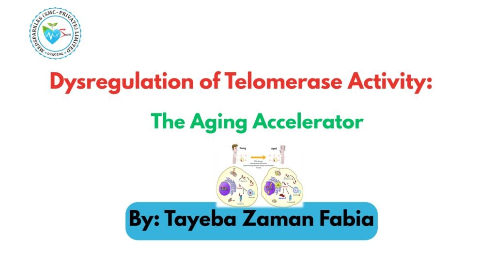 Dysregulation of Telomerase Activity: The Aging Accelerator