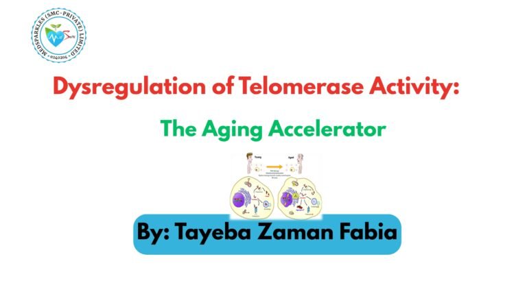 Dysregulation of Telomerase Activity: The Aging Accelerator