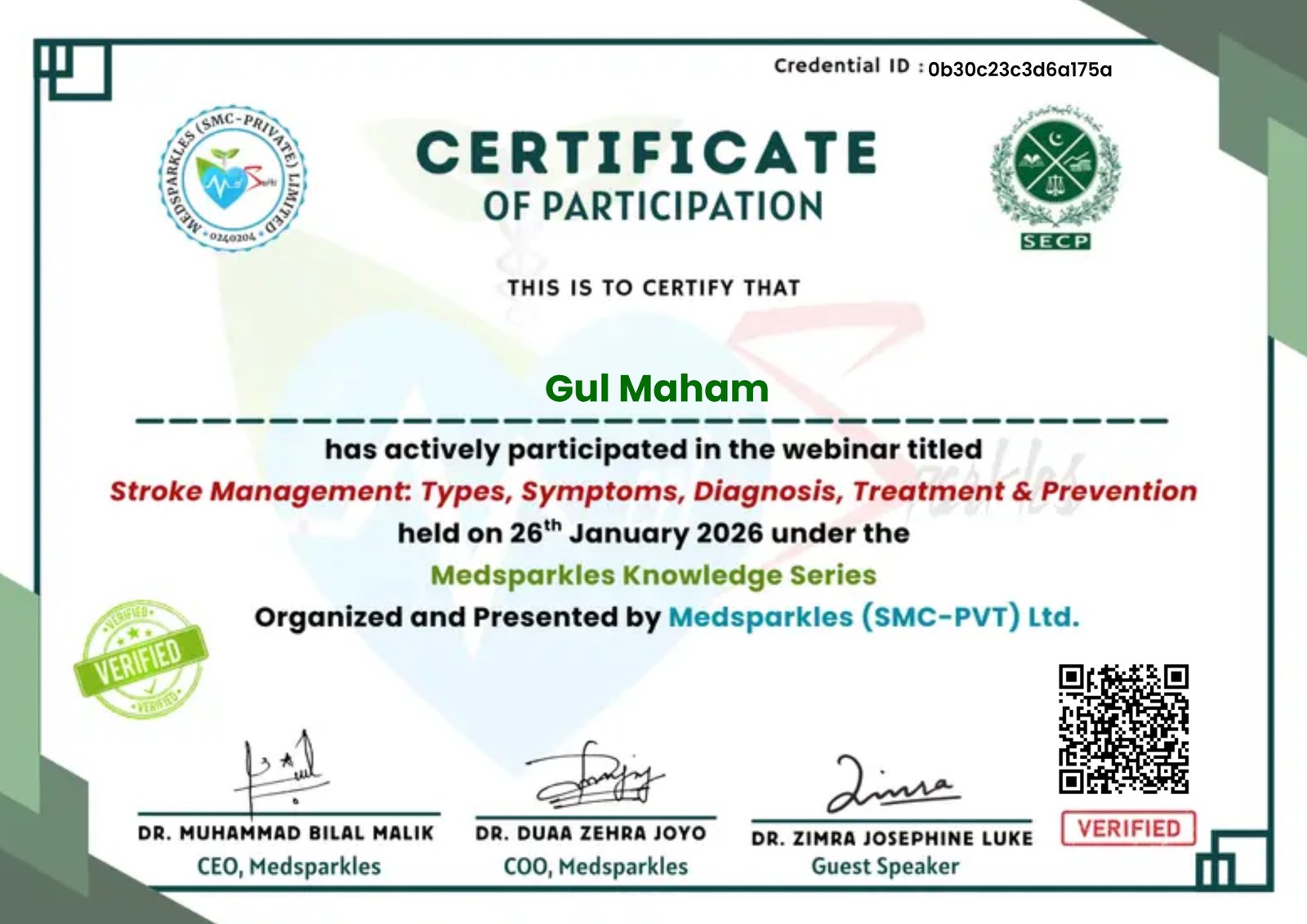 Stroke Management Webinar